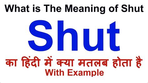 shut out meaning in hindi|shutout .